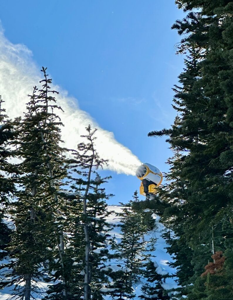 Technoalpin snowgun